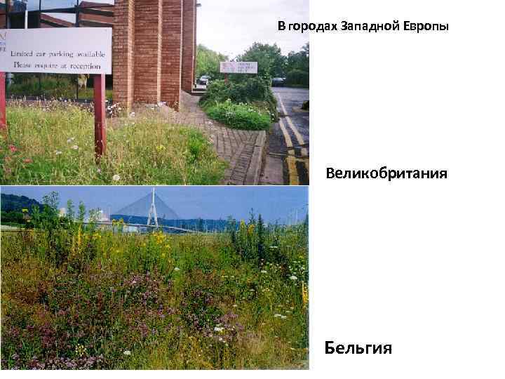 В городах Западной Европы Великобритания Бельгия 