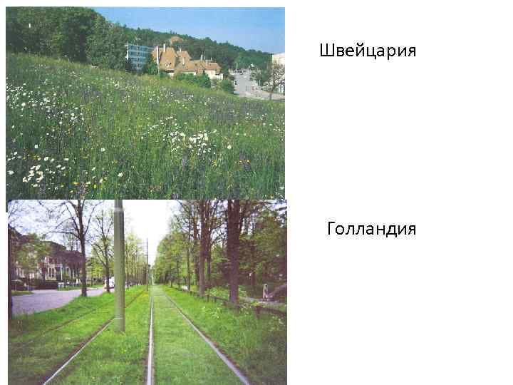 Швейцария Голландия 