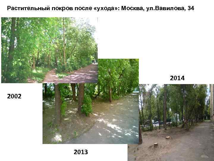 Растительный покров после «ухода» : Москва, ул. Вавилова, 34 2014 2002 2013 