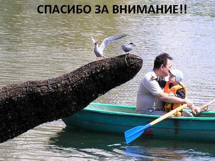 СПАСИБО ЗА ВНИМАНИЕ!! 