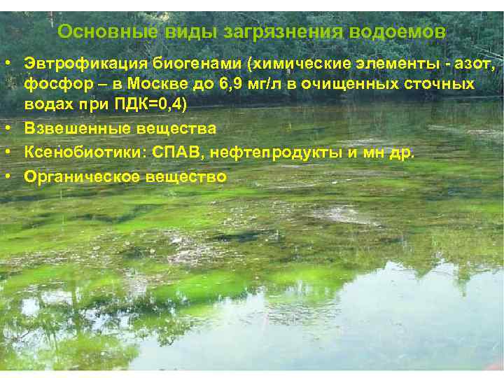 На рисунке показано что в процессе эвтрофикации в водоеме может произойти