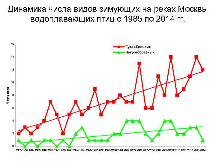 Динамика числа видов зимующих на реках Москвы водоплавающих птиц с 1985 по 2014 гг.