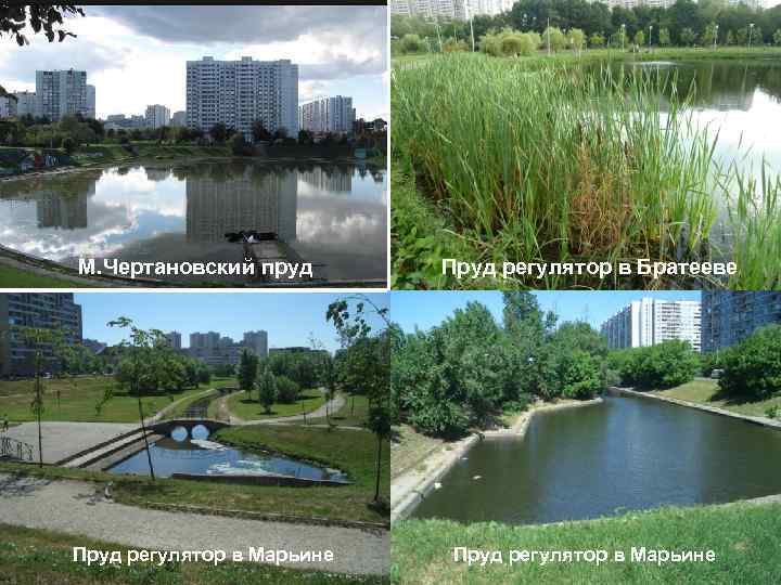 М. Чертановский пруд Пруд регулятор в Марьине Пруд регулятор в Братееве Пруд регулятор в