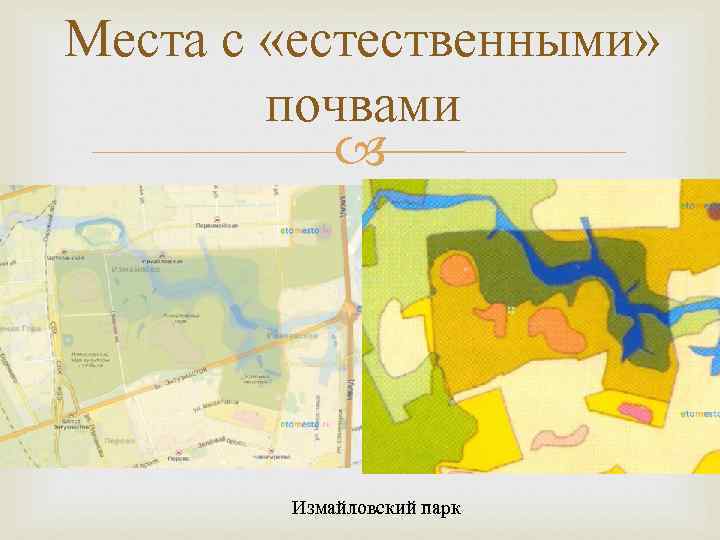 Места с «естественными» почвами Измайловский парк 