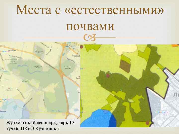 Места с «естественными» почвами Жулебинский лесопарк, парк 12 лучей, ПКи. О Кузьминки 
