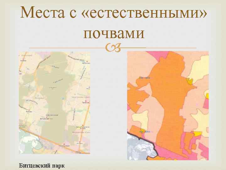 Места с «естественными» почвами Битцевский парк 