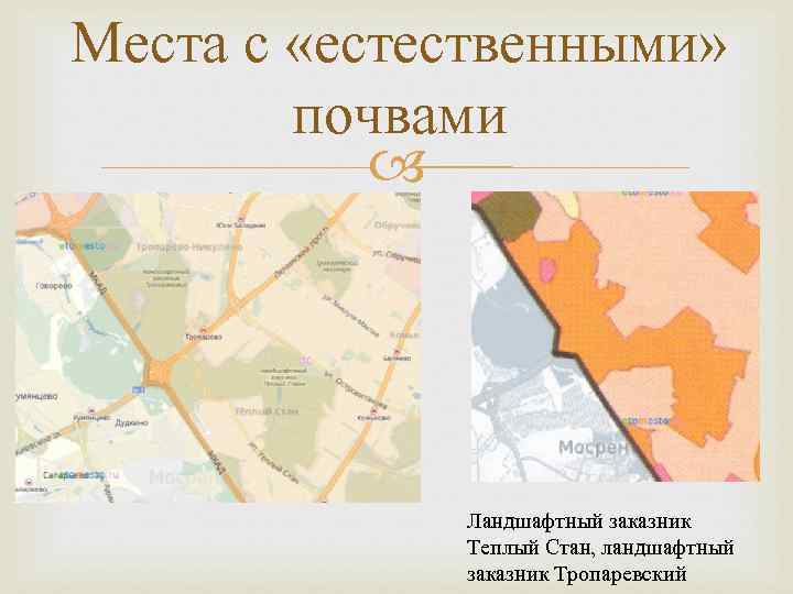Места с «естественными» почвами Ландшафтный заказник Теплый Стан, ландшафтный заказник Тропаревский 