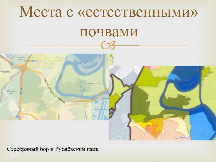 Места с «естественными» почвами Серебряный бор и Рублёвский парк 