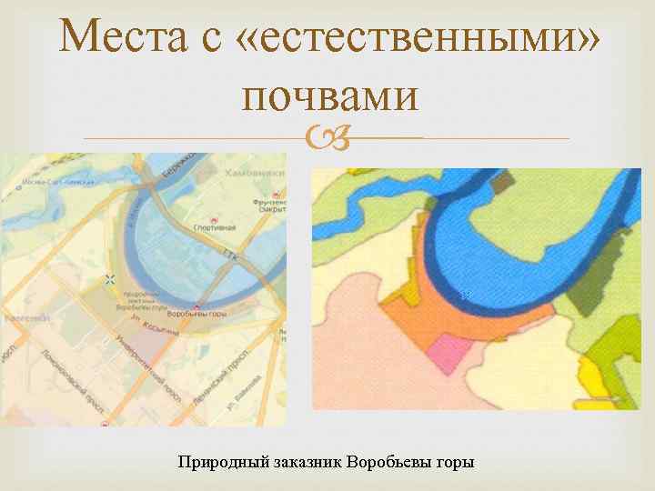 Места с «естественными» почвами Природный заказник Воробьевы горы 