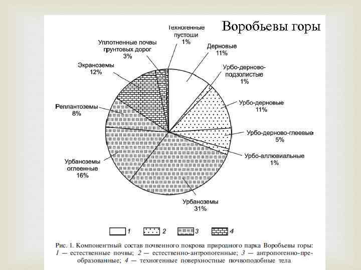 Воробьевы горы 