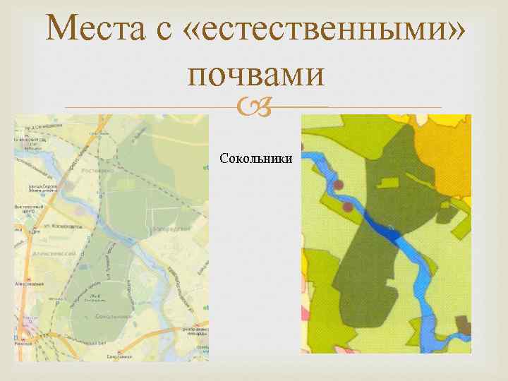 Места с «естественными» почвами Сокольники 