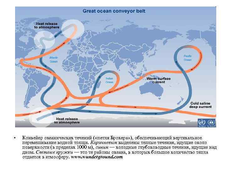  • Конвейер океанических течений ( «петля Брокера» ), обеспечивающий вертикальное перемешивание водной толщи.