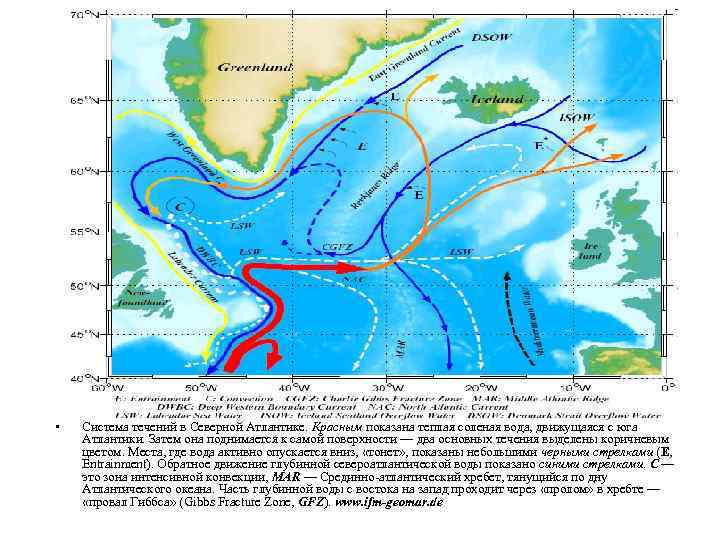  • Система течений в Северной Атлантике. Красным показана теплая соленая вода, движущаяся с