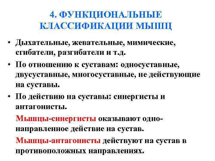 4. ФУНКЦИОНАЛЬНЫЕ КЛАССИФИКАЦИИ МЫШЦ • Дыхательные, жевательные, мимические, сгибатели, разгибатели 4. ФУНКЦИОНАЛЬНЫЕ КЛАССИФИКАЦИИ МЫШЦ • Дыхательные, жевательные, мимические, сгибатели, разгибатели
