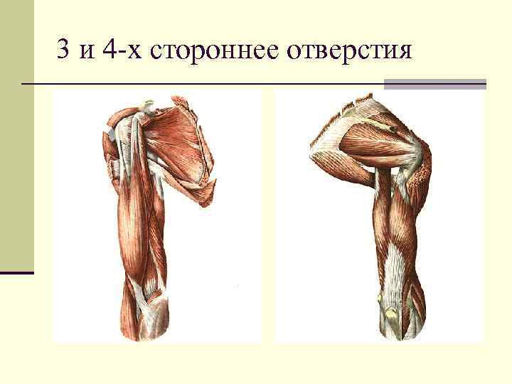 3 и 4 -х стороннее отверстия 