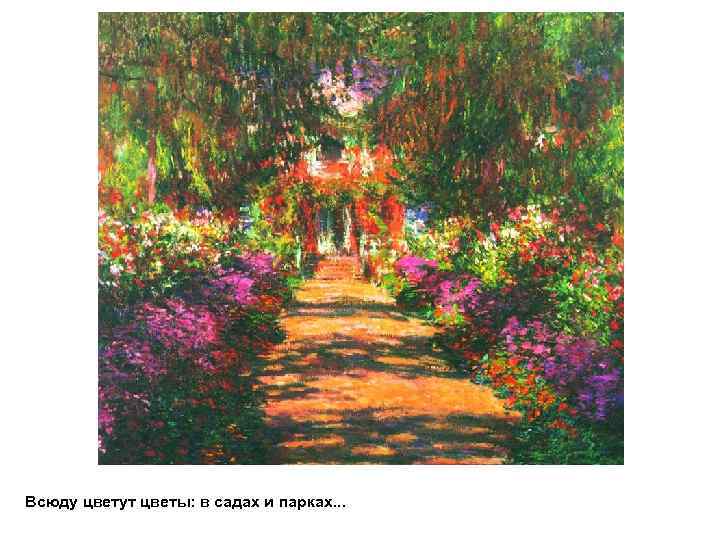 Всюду цветут цветы: в садах и парках. . . 