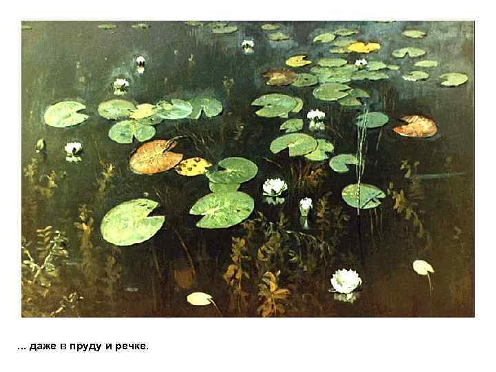 . . . даже в пруду и речке. 