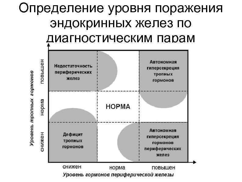Определение уровня поражения эндокринных желез по диагностическим парам 
