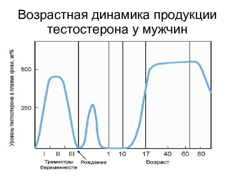 Динамика продукта