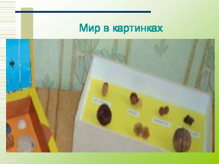 Мир в картинках 
