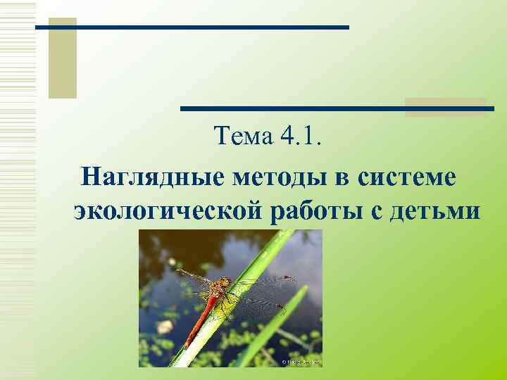    Тема 4. 1. Наглядные методы в системе экологической работы с детьми