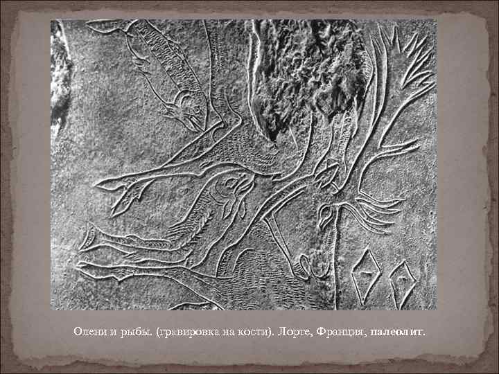 Олени и рыбы. (гравировка на кости). Лорте, Франция, палеолит. 