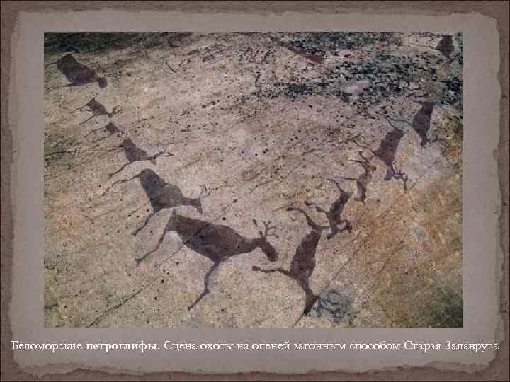Беломорские петроглифы. Сцена охоты на оленей загонным способом Старая Залавруга 