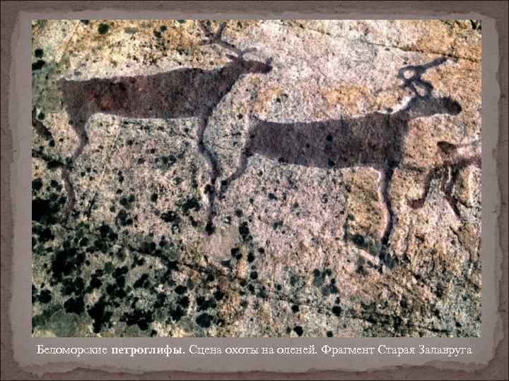 Беломорские петроглифы. Сцена охоты на оленей. Фрагмент Старая Залавруга 
