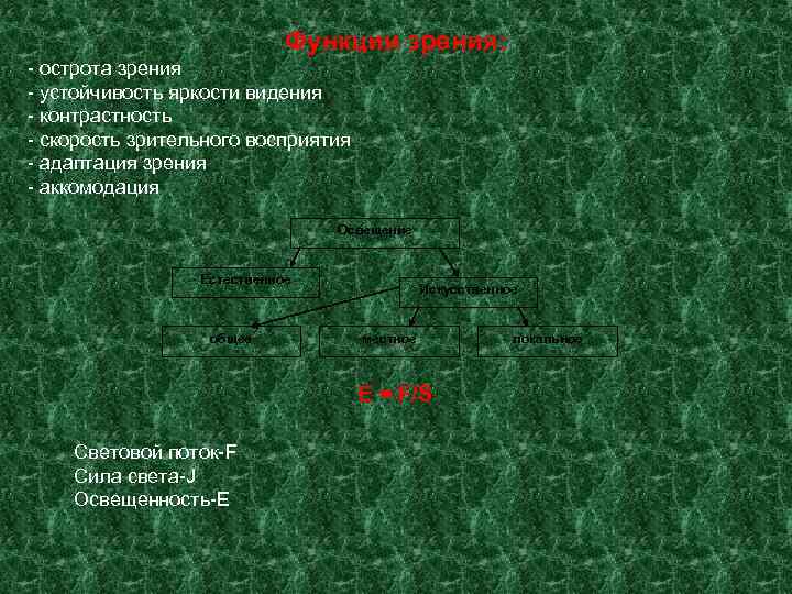       Функции зрения: - острота зрения - устойчивость яркости