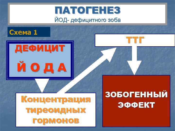    ПАТОГЕНЕЗ  ЙОД- дефицитного зоба Схема 1    