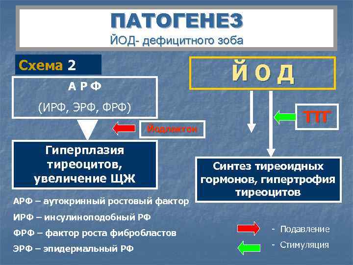    ПАТОГЕНЕЗ    ЙОД- дефицитного зоба  Схема 2 