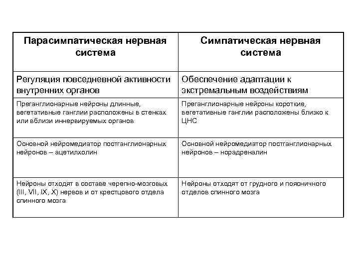  Парасимпатическая нервная     Симпатическая нервная  система   