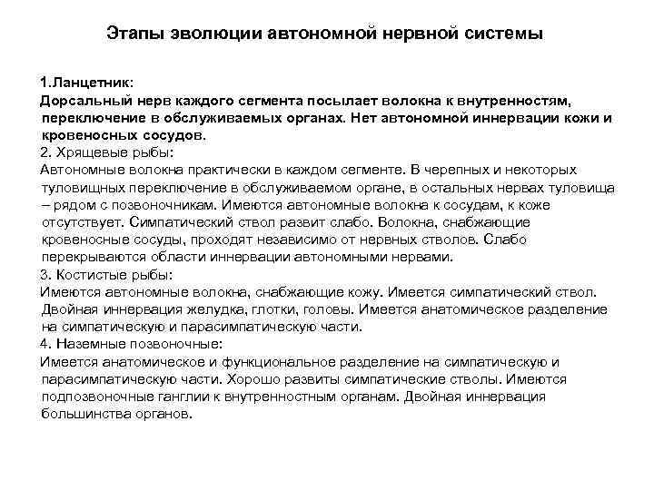   Этапы эволюции автономной нервной системы 1. Ланцетник: Дорсальный нерв каждого сегмента посылает