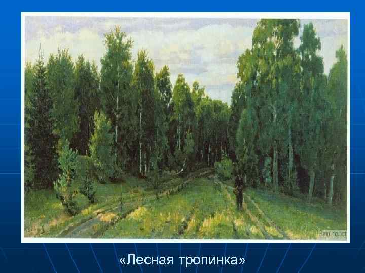  «Лесная тропинка» 