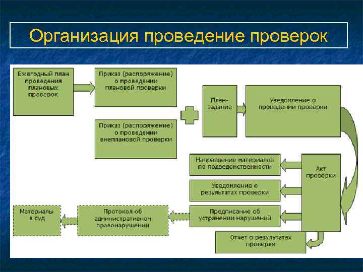 Организация проведение проверок 