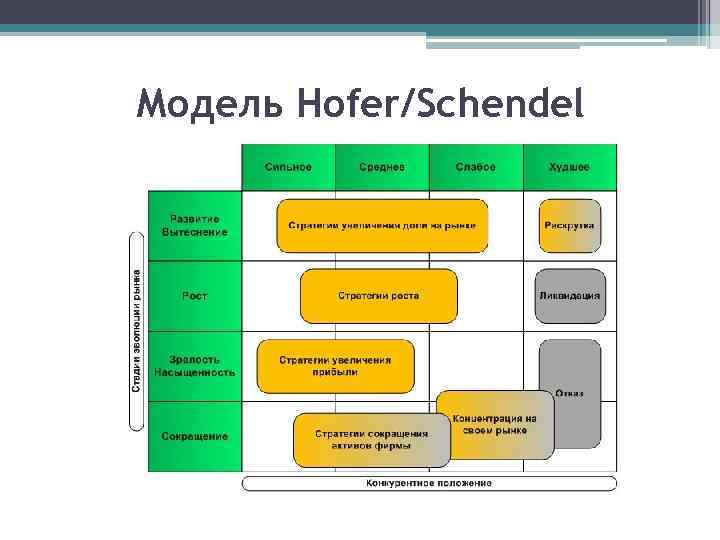 Модель Hofer/Schendel 