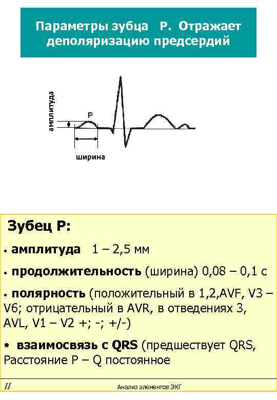 амплитуда Параметры зубца Р. Отражает деполяризацию предсердий ширина Зубец Р: • амплитуда 1 –