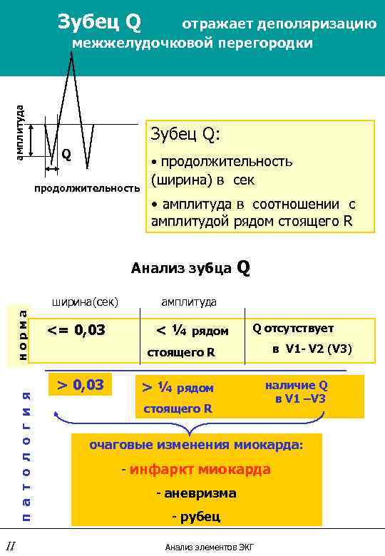 Амплитуда q. Зубец q в норме. Норма амплитуды зубца p. Показатели зубца q в норме. Ширина зубца q.