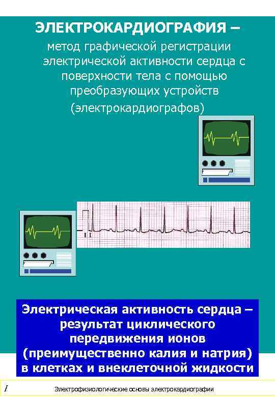 ЭЛЕКТРОКАРДИОГРАФИЯ – метод графической регистрации электрической активности сердца с поверхности тела с помощью преобразующих