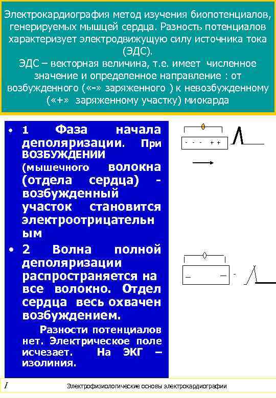 Электрокардиография метод изучения биопотенциалов, генерируемых мышцей сердца. Разность потенциалов характеризует электродвижущую силу источника тока