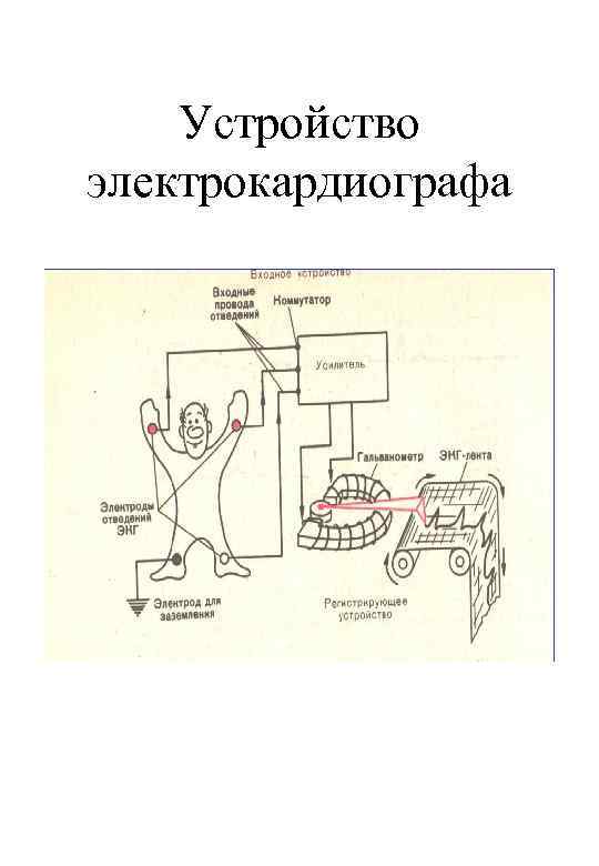 Блок схема электрокардиографа