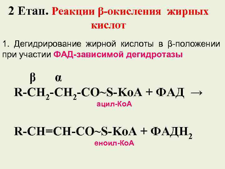 2 Етап. Реакции β-окисления жирных кислот 1. Дегидрирование жирной кислоты в β-положении при участии