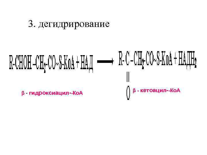 3. дегидрирование β - гидроксиацил--Ко. А β - кетоацил--Ко. А 