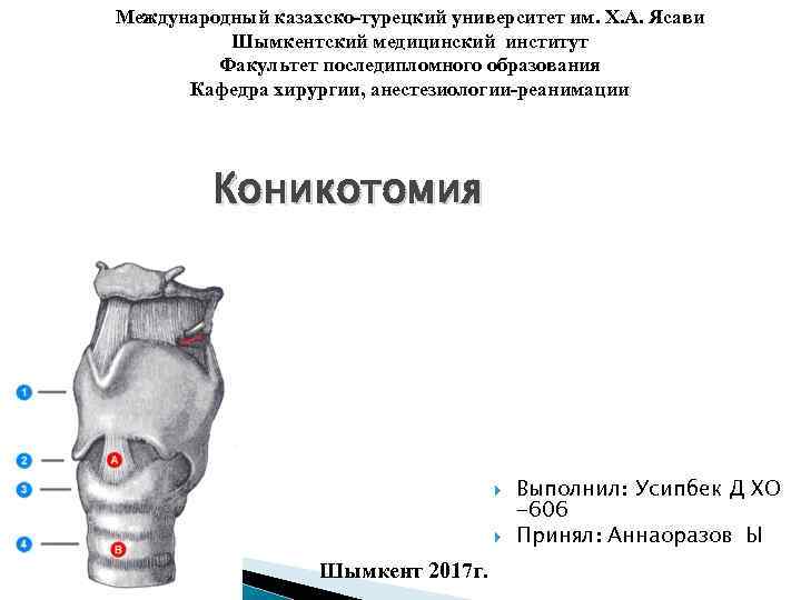 Международный казахско-турецкий университет им. Х. А. Ясави Шымкентский медицинский институт Факультет последипломного образования Кафедра