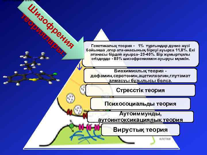 1911 г. Эрвином Блёилером Ш те из ор оф ия ре ла ни ры