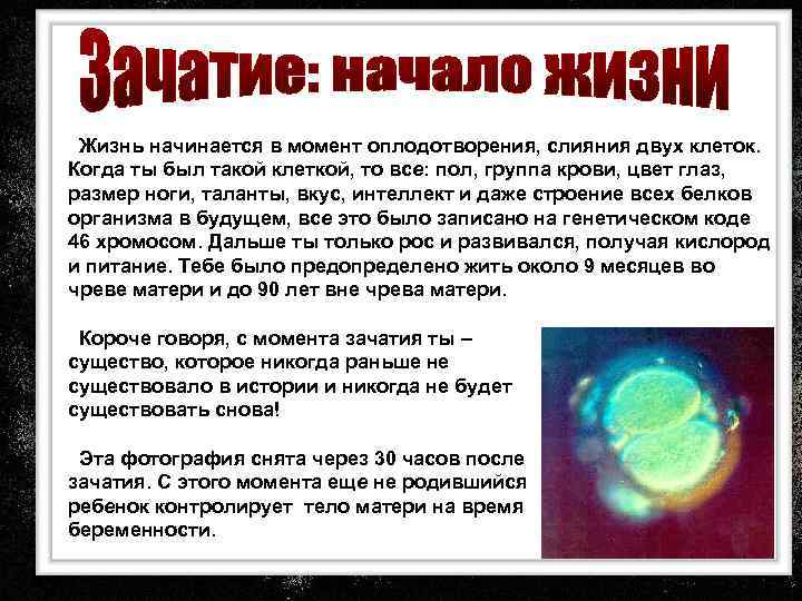 Жизнь начинается в момент оплодотворения, слияния двух клеток. Когда ты был такой клеткой, то