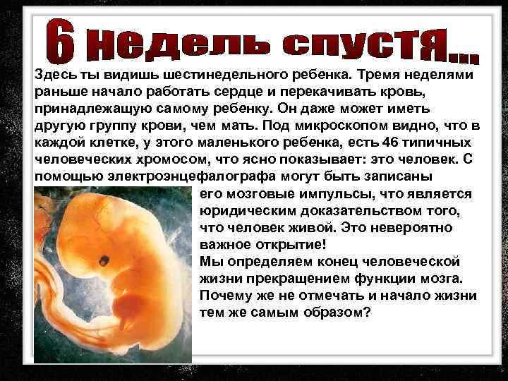 Здесь ты видишь шестинедельного ребенка. Тремя неделями раньше начало работать сердце и перекачивать кровь,