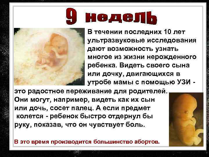 В течении последних 10 лет ультразвуковые исследования дают возможность узнать многое из жизни нерожденного