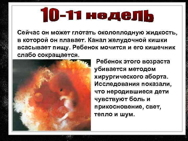 Сейчас он может глотать околоплодную жидкость, в которой он плавает. Канал желудочной кишки всасывает