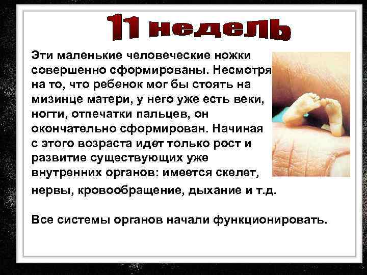 Эти маленькие человеческие ножки совершенно сформированы. Несмотря на то, что ребенок мог бы стоять